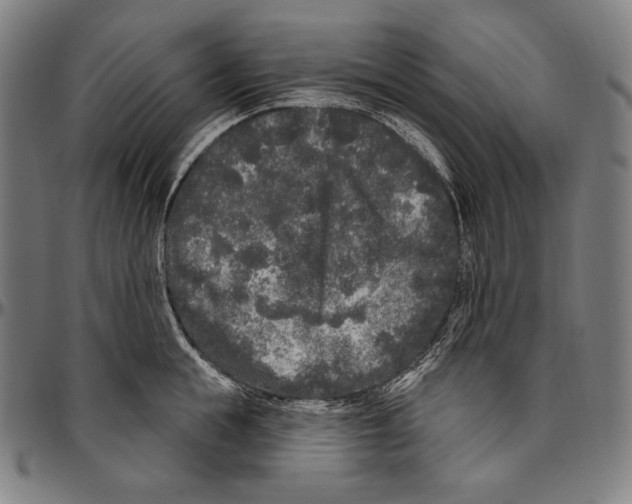 X0000096490855200802211236