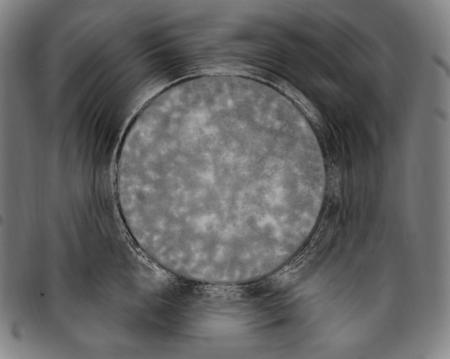 X0000096490856200802211236