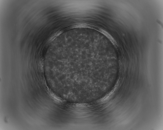 X0000096490857200802211236