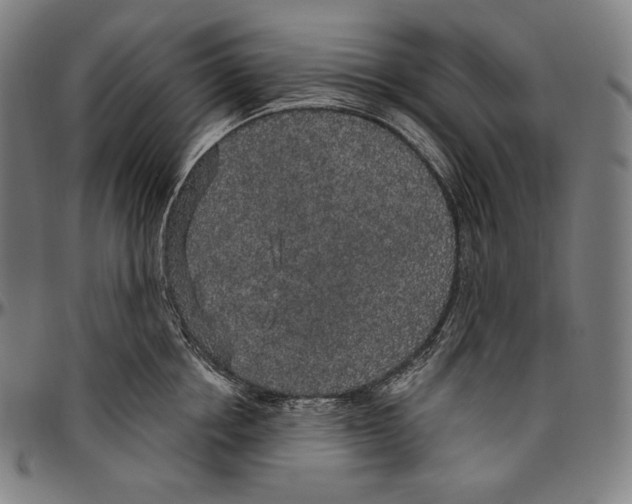 X0000096490858200802211236