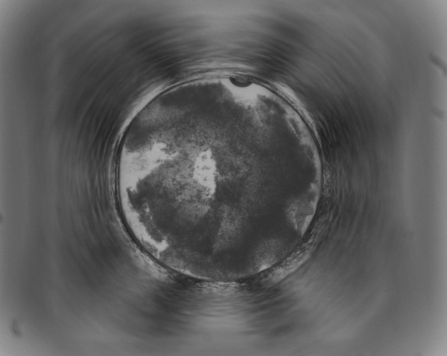 X0000096490859200802211236