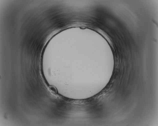 X0000096490861200802211236