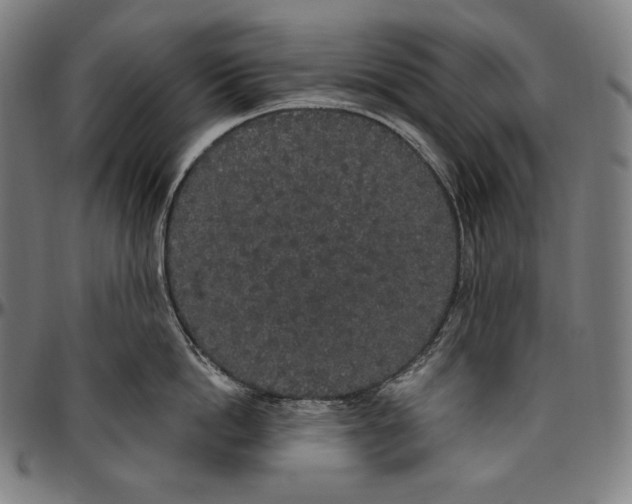 X0000096490862200802211236