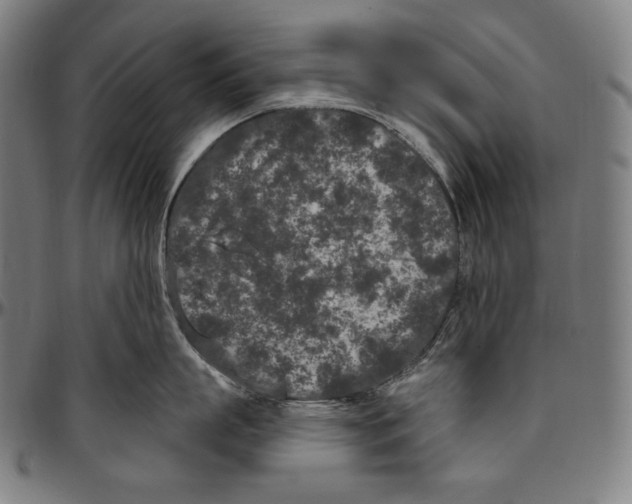 X0000096490863200802211236