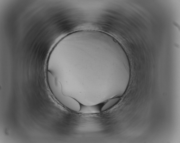 X0000096490864200802211236