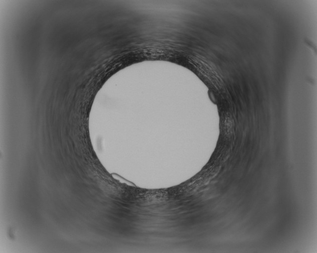 X0000096490865200802211235