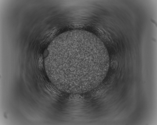 X0000096490866200802211235