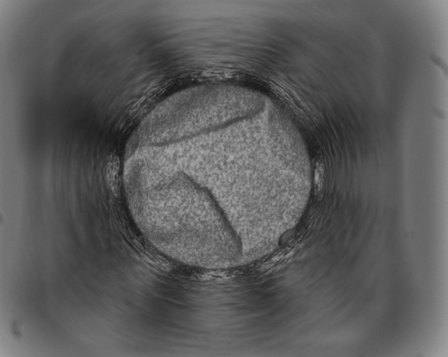 X0000096490867200802211235