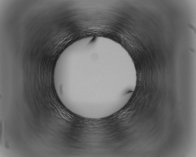 X0000096490868200802211235