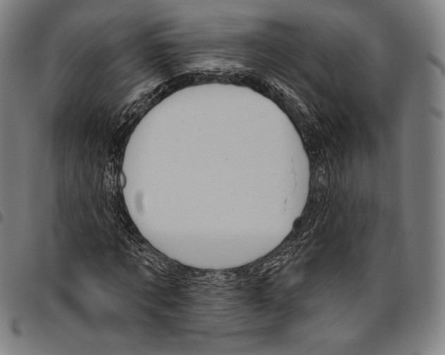 X0000096490869200802211235