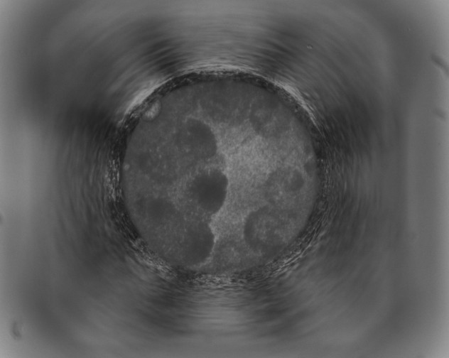 X0000096490871200802211235