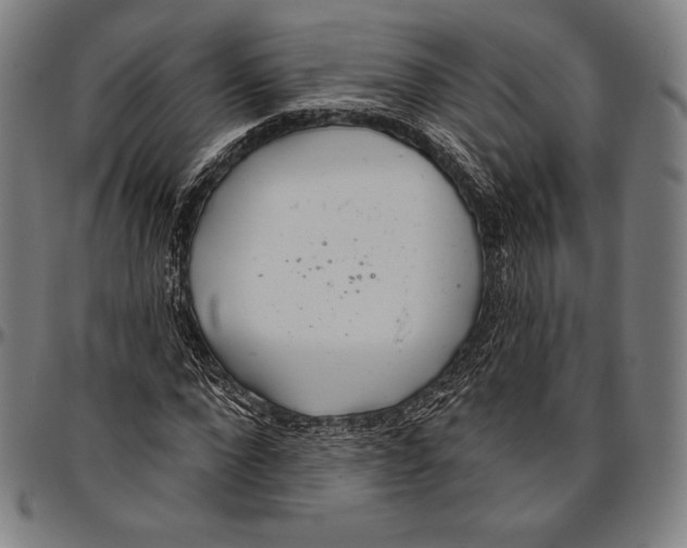 X0000096490872200802211235