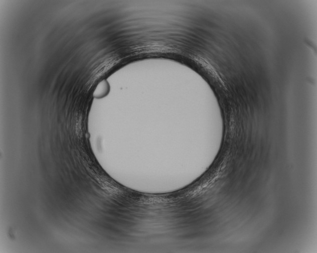 X0000096490873200802211235