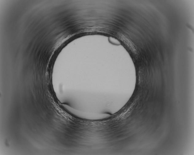 X0000096490876200802211235