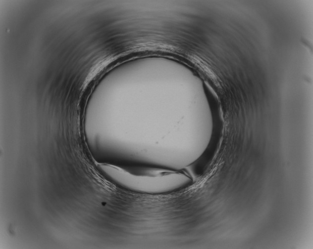 X0000096490877200802211235