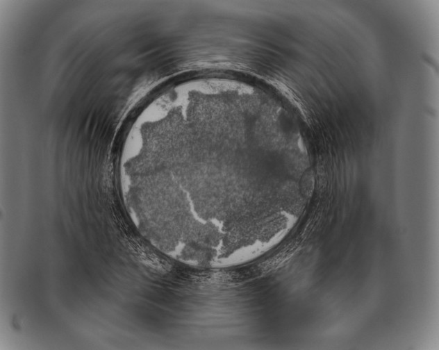 X0000096490879200802211235