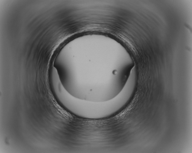 X0000096490880200802211235