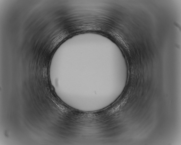 X0000096490881200802211235