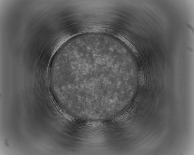 X0000096490886200802211235