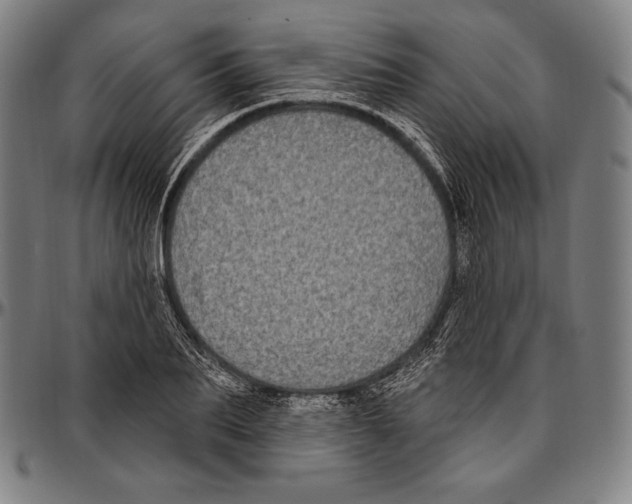 X0000096490887200802211235