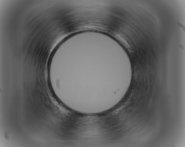 X0000096490888200802211235