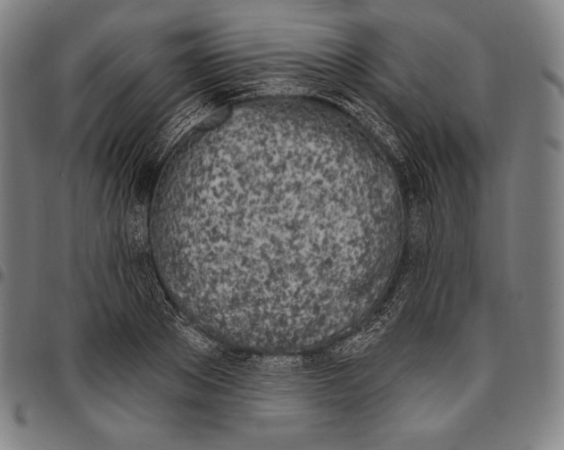 X0000096490889200802211235