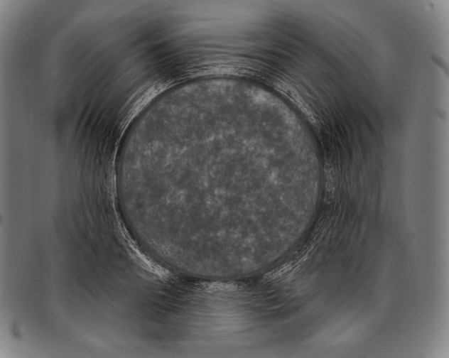 X0000096490890200802211235