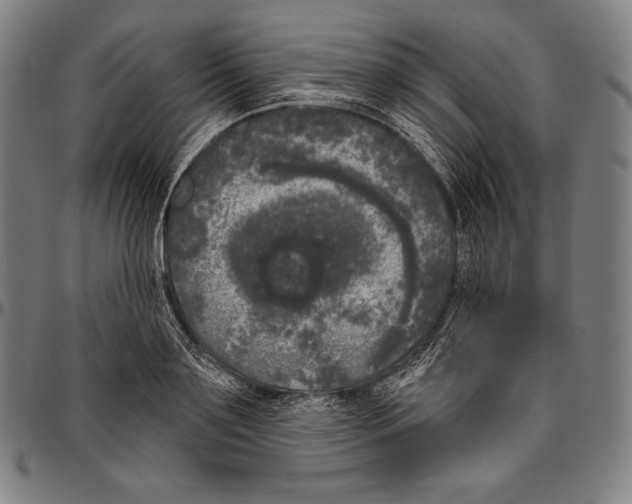 X0000096490891200802211235