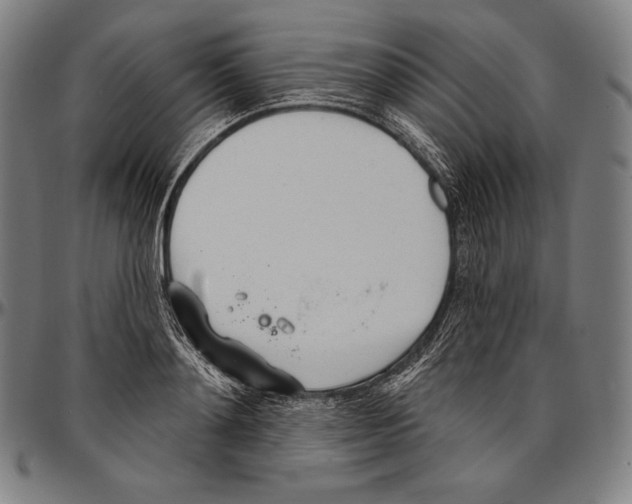 X0000096490892200802211235