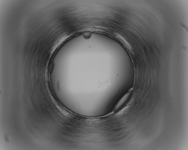 X0000096490893200802211235