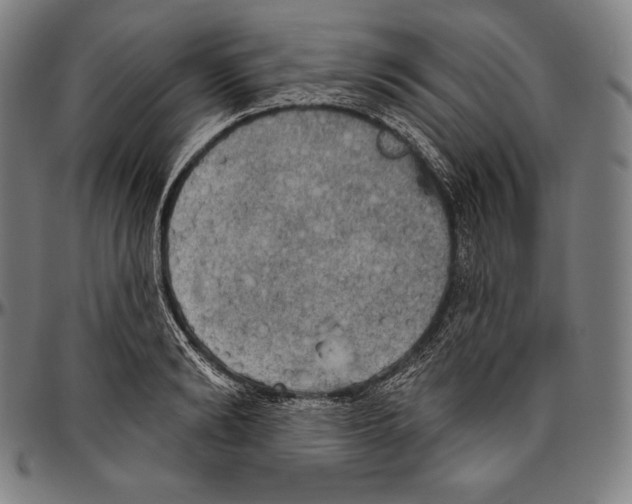 X0000096490894200802211235