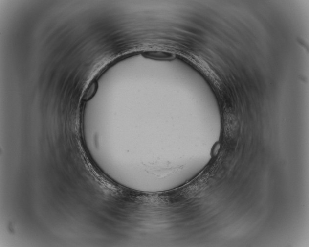 X0000096490896200802211235