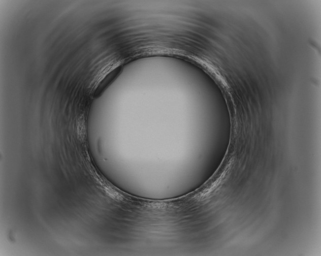 X0000096490897200802211235