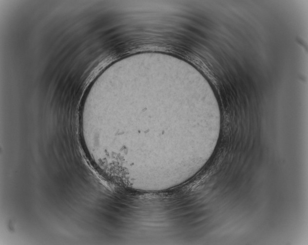 X0000096490898200802211235