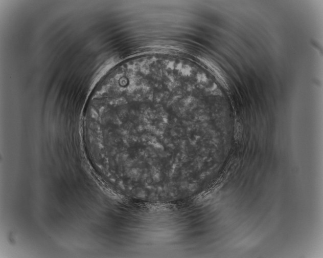 X0000096490899200802211235