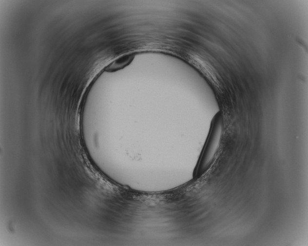 X0000096490900200802211235