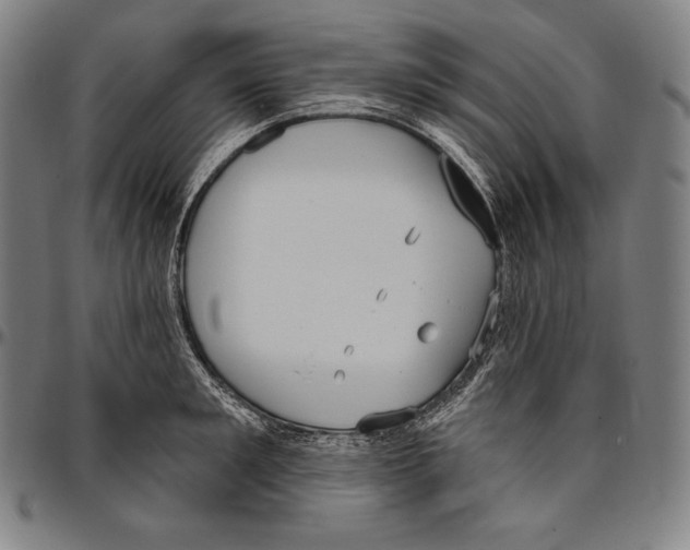 X0000096490901200802211235