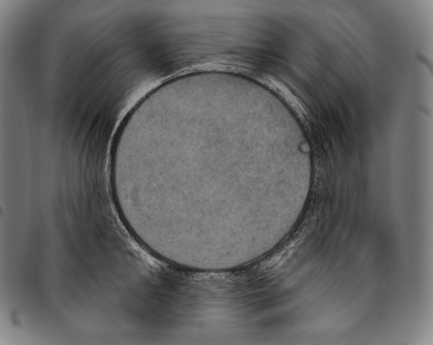 X0000096490902200802211235