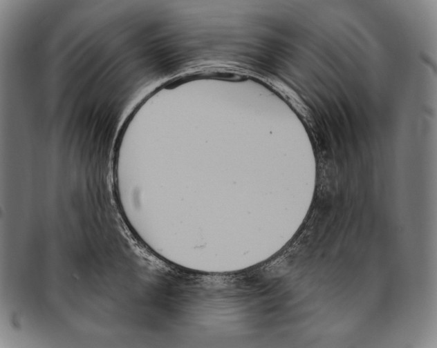 X0000096490904200802211235