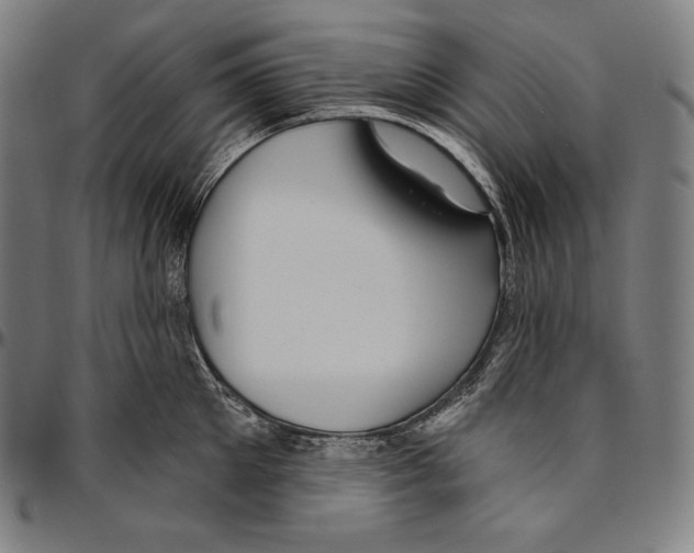 X0000096490905200802211235