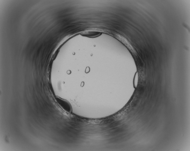 X0000096490908200802211235