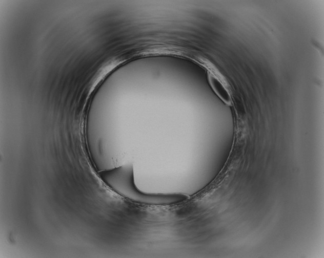 X0000096490909200802211235