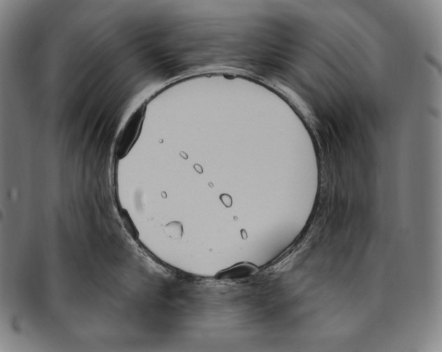 X0000096490910200802211235