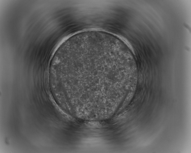 X0000096490911200802211235