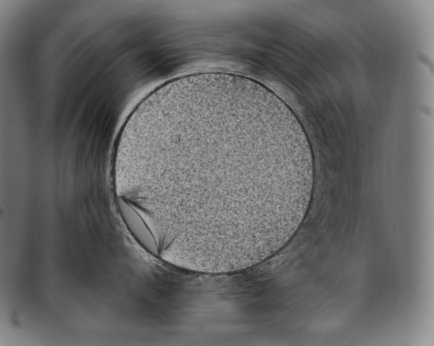 X0000096490912200802211235