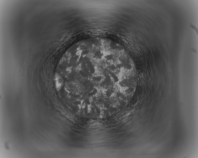 X0000096490913200802211234