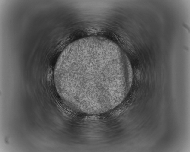 X0000096490914200802211234