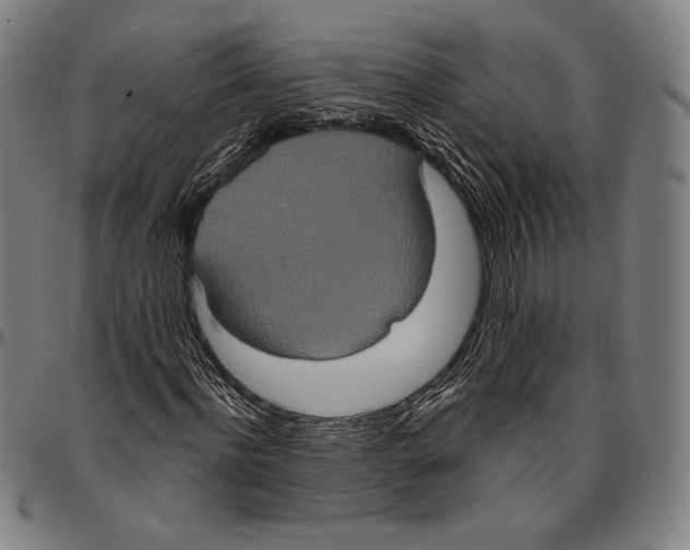 X0000096490916200802211234