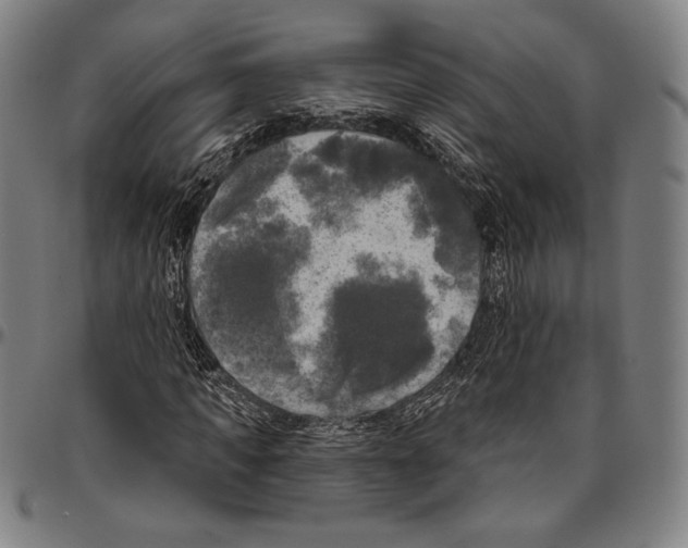 X0000096490917200802211234