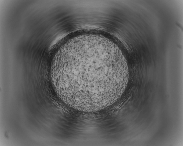 X0000096490919200802211234